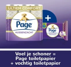 Page Vochtig Toiletpapier - 12 X 38 Stuks - Kussenzacht Vochtig Wc Papier - Voordeelverpakking 14 Page Vochtig Toiletpapier - 12 X 38 Stuks - Kussenzacht Vochtig Wc Papier - Voordeelverpakking -Dagelijkse Benodigdheden Winkel 1200x1138