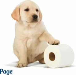 Page Toiletpapier - Eco - Duurzaam - 24 Rollen - Voordeelverpakking -Dagelijkse Benodigdheden Winkel 1200x1186 1