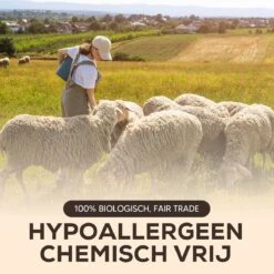 Drogerballen - Droogballen - Wasdrogerballen - Dryerballs - 6 Stuks - XL Formaat - Wol - Set 12 Drogerballen - Droogballen - Wasdrogerballen - Dryerballs - 6 Stuks - XL Formaat - Wol - Set -Dagelijkse Benodigdheden Winkel 1200x1200 1216