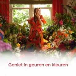 Robijn Klein & Krachtig Rosé Chique Vloeibaar Wasmiddel - 8 X 19 Wasbeurten - Voordeelverpakking 12 Robijn Klein & Krachtig Rosé Chique Vloeibaar Wasmiddel - 8 X 19 Wasbeurten - Voordeelverpakking -Dagelijkse Benodigdheden Winkel 1200x1200 1315