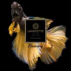 Lavayette Premium Wasparfum 2in1 - Double Fun & Jasmine Shades - Geurbooster -Dagelijkse Benodigdheden Winkel 1200x1200 2451