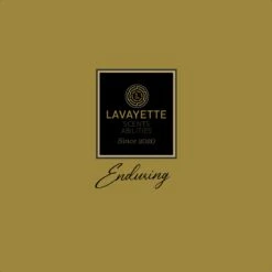 Lavayette Premium Wasparfum - Jasmin Shades - Geurbooster 500ml (Diamante) 12 Lavayette Premium Wasparfum - Jasmin Shades - Geurbooster 500ml (Diamante) -Dagelijkse Benodigdheden Winkel 1200x1200 2455