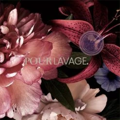 Lavayette Premium Wasparfum - Jasmin Shades - Geurbooster 500ml (Diamante) 14 Lavayette Premium Wasparfum - Jasmin Shades - Geurbooster 500ml (Diamante) -Dagelijkse Benodigdheden Winkel 1200x1200 2457