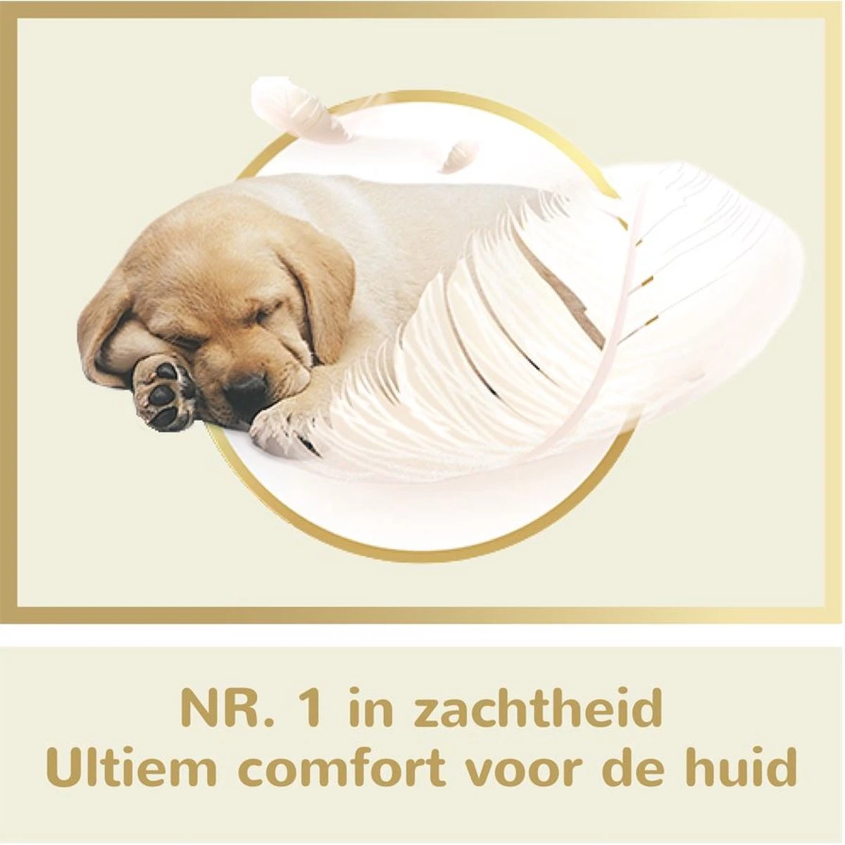 Page Puur Toiletpapier - 24 Rollen - Extra Duurzaam Wc Papier - Voordeelverpakking 5 Page Puur Toiletpapier - 24 Rollen - Extra Duurzaam Wc Papier - Voordeelverpakking - Afbeelding 3