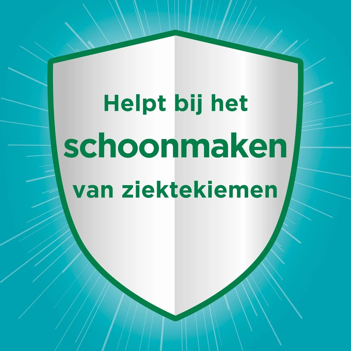 Ajax® Ajax Allesreiniger Eucalyptus 2 X 5L - Voordeelverpakking 9 Ajax® Ajax Allesreiniger Eucalyptus 2 X 5L - Voordeelverpakking - Afbeelding 7