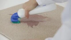 Dr. Beckmann Tapijtvlekkenborstel - Tapijtreiniging - Tapijt Vlekverwijderaar Met Borstel - Schoon Tapijt - Dierenvlekkenverwijderaar 10 Dr. Beckmann Tapijtvlekkenborstel - Tapijtreiniging - Tapijt Vlekverwijderaar Met Borstel - Schoon Tapijt - Dierenvlekkenverwijderaar -Dagelijkse Benodigdheden Winkel 1200x674 3