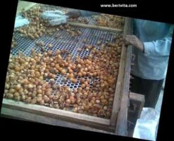 Wasnoten Start 150gr Met Waszakje - Zeepnoten - Natuurlijk Wassen 14 Wasnoten Start 150gr Met Waszakje - Zeepnoten - Natuurlijk Wassen -Dagelijkse Benodigdheden Winkel 1200x973 1