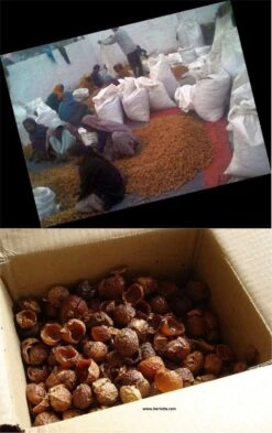 Wasnoten 3kg Met 4 Waszakjes - Zeepnoten - Natuurlijk Wassen - 4x750gr -Dagelijkse Benodigdheden Winkel 755x1200 5