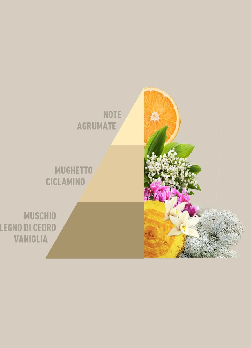 Horomia Wasparfum Gold Argan - 500ml 4 Horomia Wasparfum Gold Argan - 500ml - Afbeelding 2